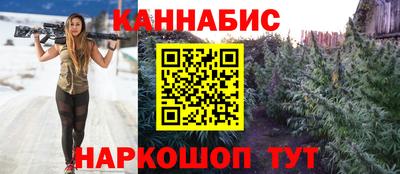 круглые Кингисепп